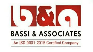 bassi&associates logo
